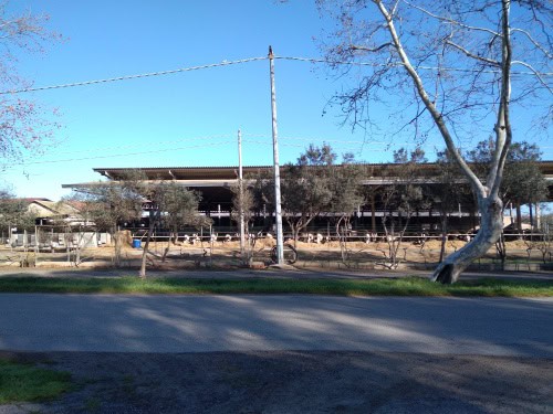 2f4f443f-817f-0c74-eecb-08fa9fd8e242